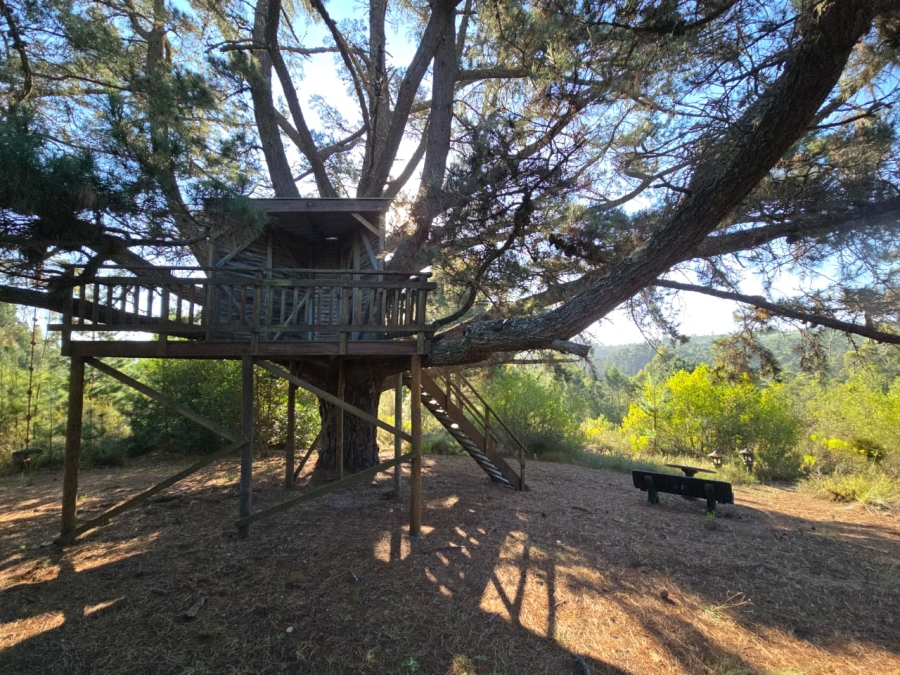 Commercial Property for Sale in Sedgefield Rural Western Cape